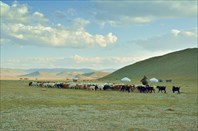Велопоход по западной Монголии